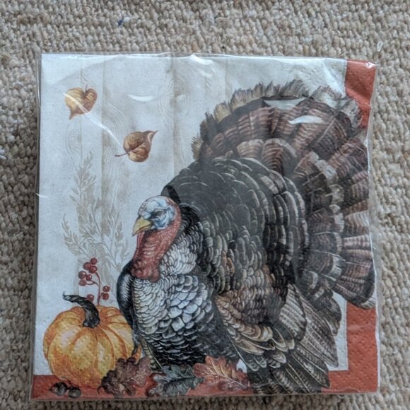 128 Timeless Turkey 2-Ply Thanksgiving Christmas New Year Party Napkins Tissues - Picture 4 of 4